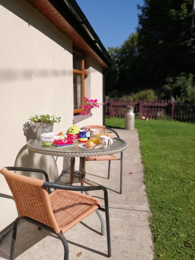 Killarney Saoirse Cottage 외부 사진