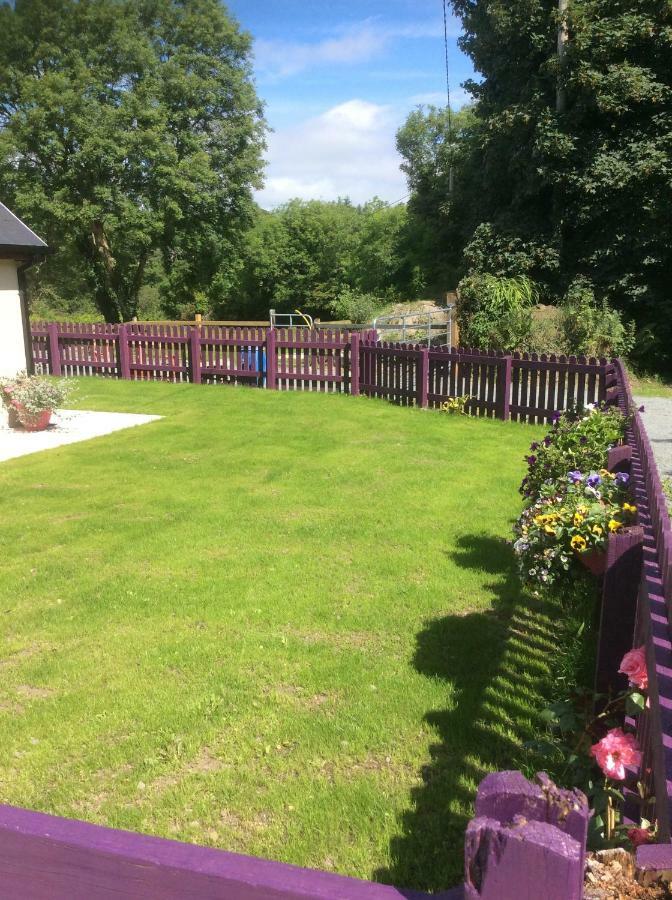 Killarney Saoirse Cottage 외부 사진