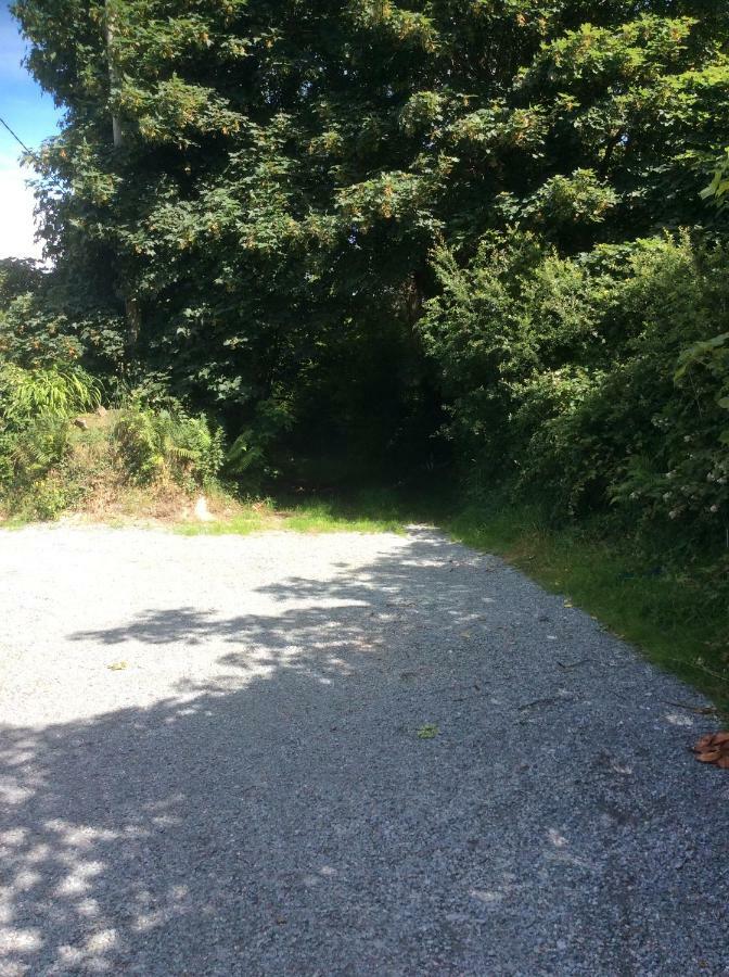 Killarney Saoirse Cottage 외부 사진