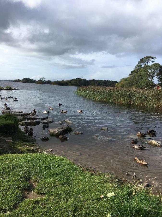 Killarney Saoirse Cottage 외부 사진