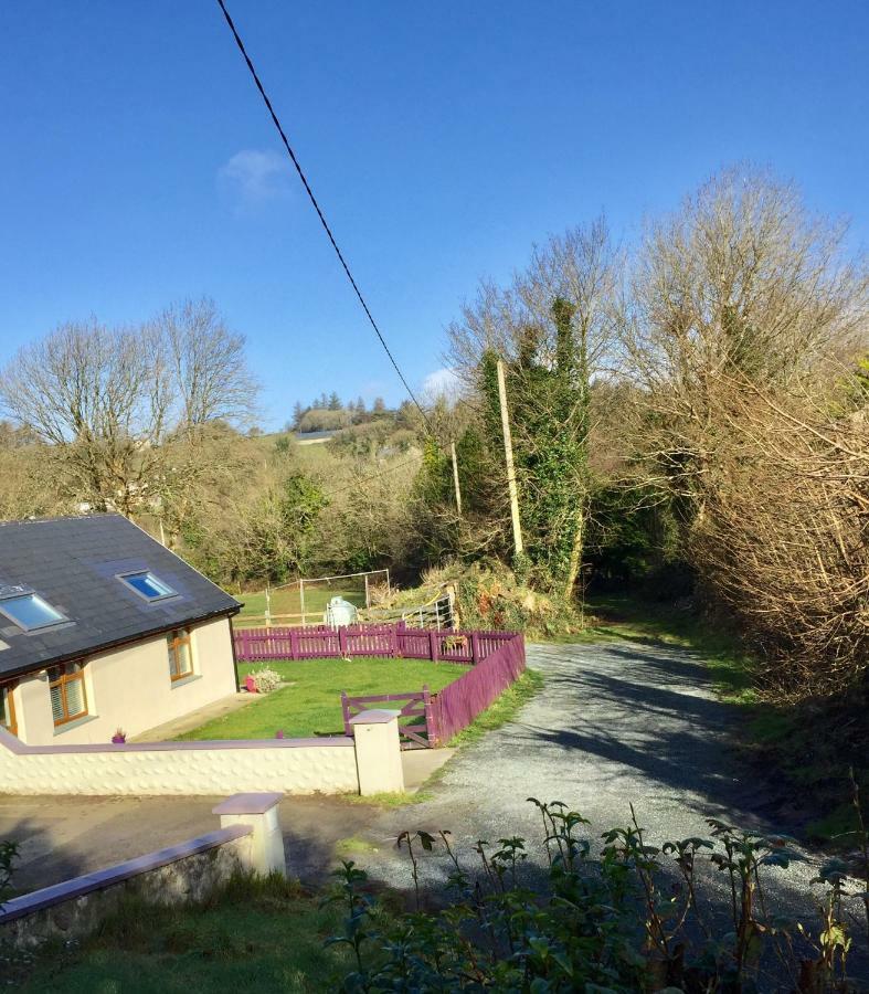 Killarney Saoirse Cottage 외부 사진